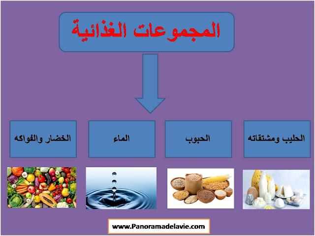 المجموعات الغذائية