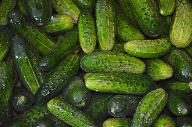 5 benefits of cucumber, by adopting which you remained fit and healthy