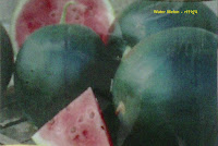 watermelon seeds ahmedabad