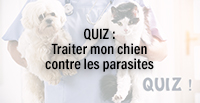  QUIZ : Traiter mon chat contre les parasites