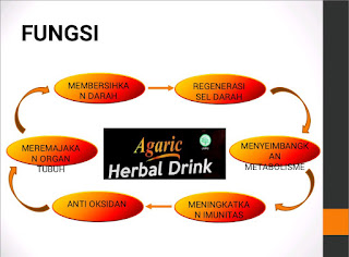  AGARIC HERBAL DRINK (AHD)