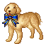 Gif de cachorro