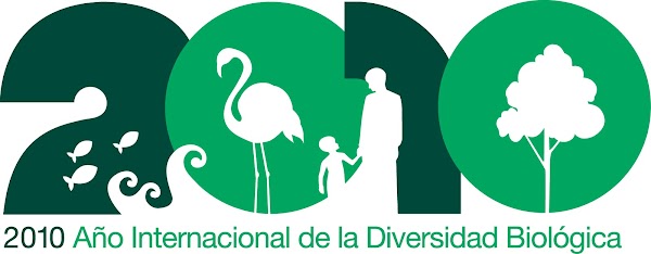 Del Desarrollo Sustentable a la Deforestación y los Tiburones: Quinto Encuentro Polémiko USFQ