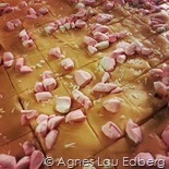 IMG_20131213_152011