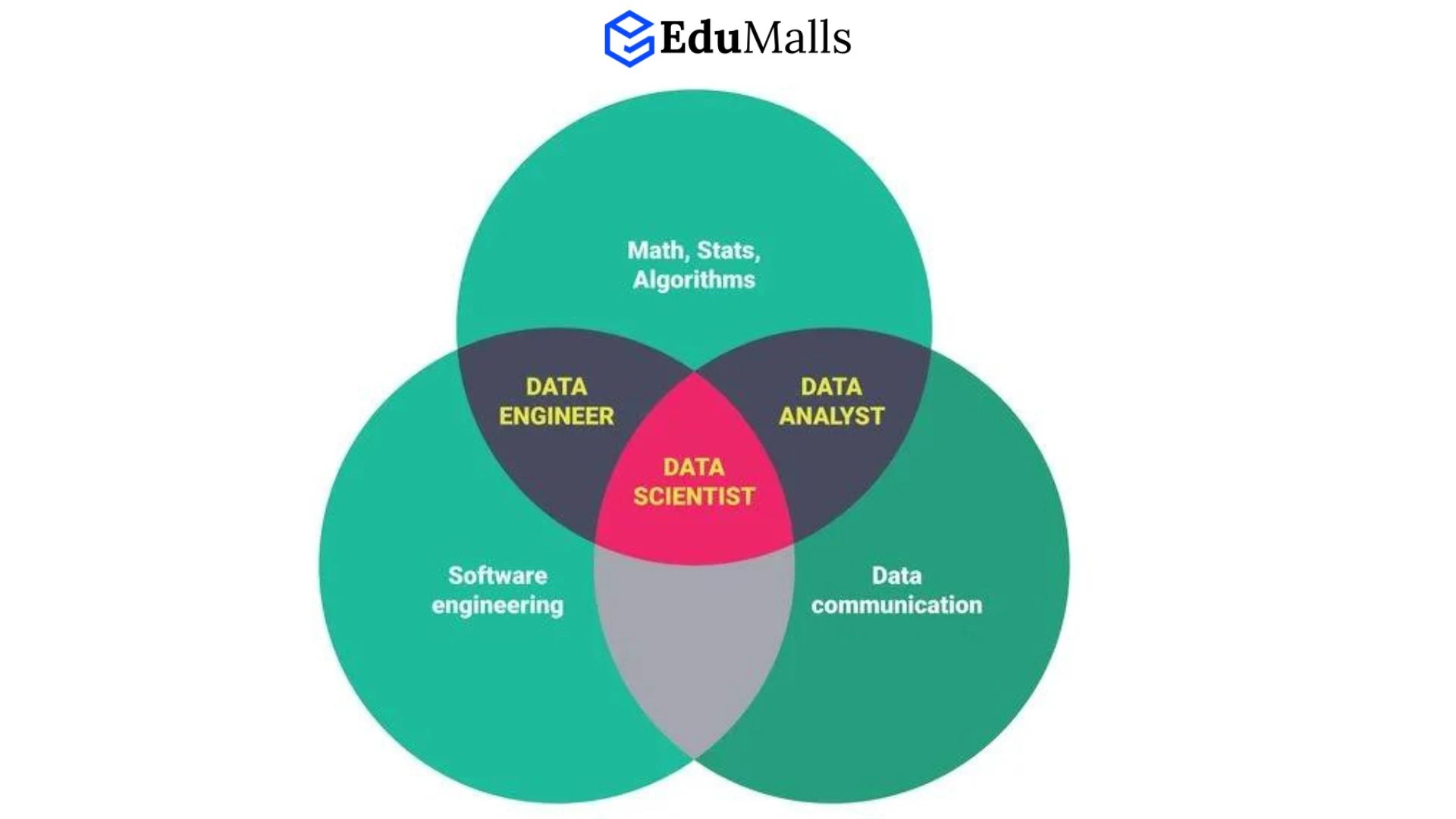 data-engineer-kham-pha-vai-tro-va-su-khac-biet-giua-data-engineer-va-data-analyst