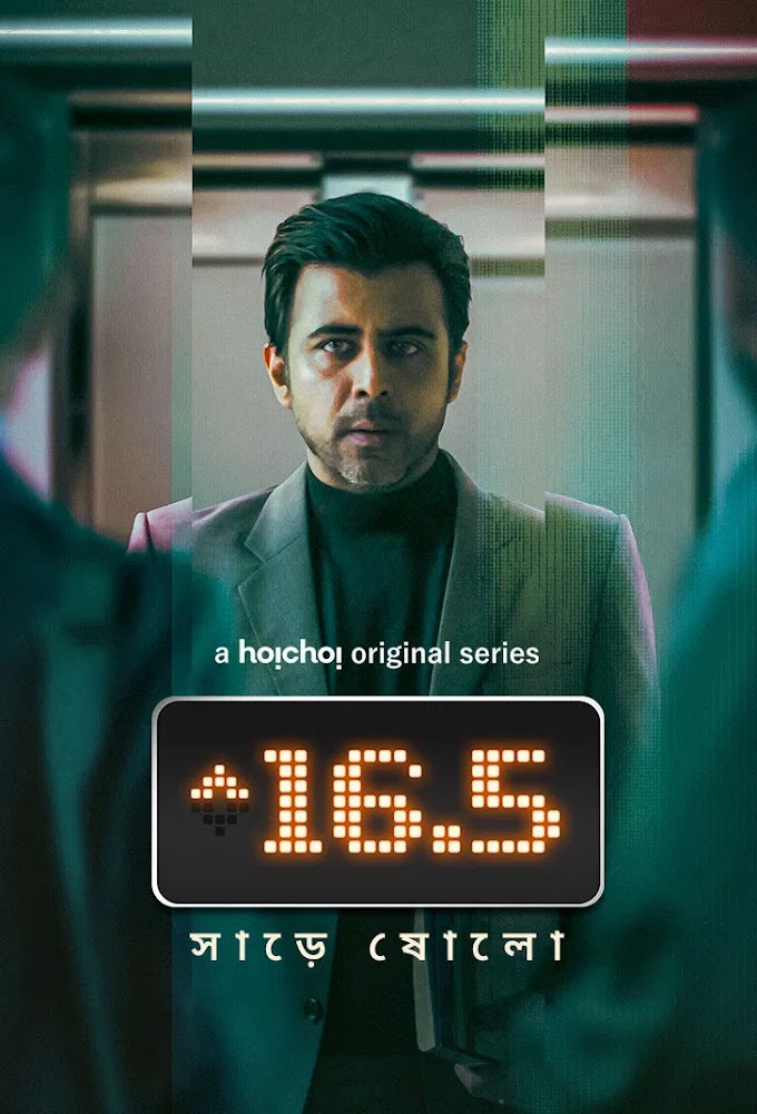 Sharey Showlo - 16.5 (2023)