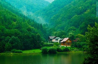 Home In Greens