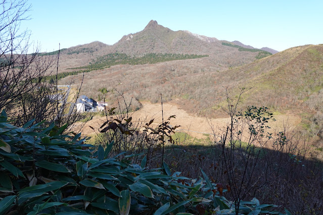 岡山県真庭市蒜山上福田 擬宝珠山登山道からの烏ヶ山の眺望