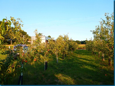 2012-09-11 051