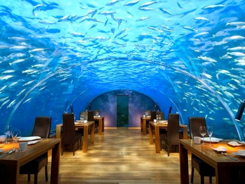 Ithaa Maldives : The world’s first ever undersea restaurant