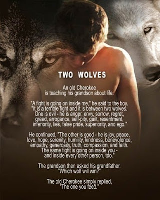 Image result for poem of the two wolves