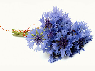 corn flowers