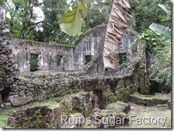132 Ruins Sugar Factory, La Pagerie 132 Ruins Sugar Factory, La Pagerie
