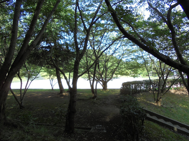 淀江運動公園グランドの公園