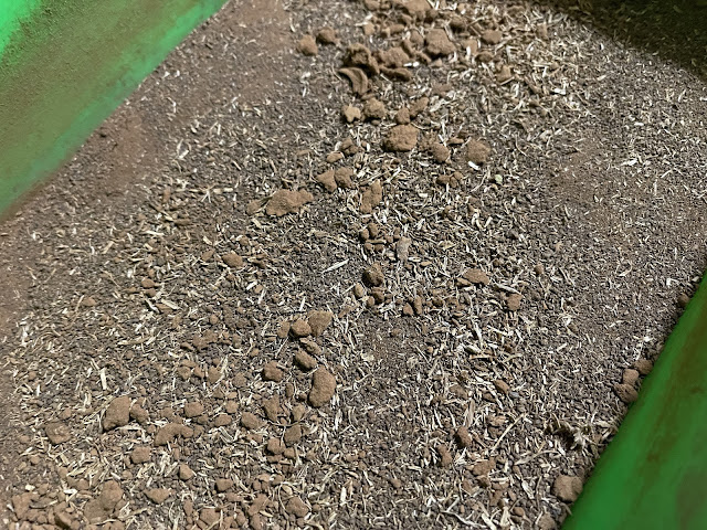 五行齊備煉心鞭