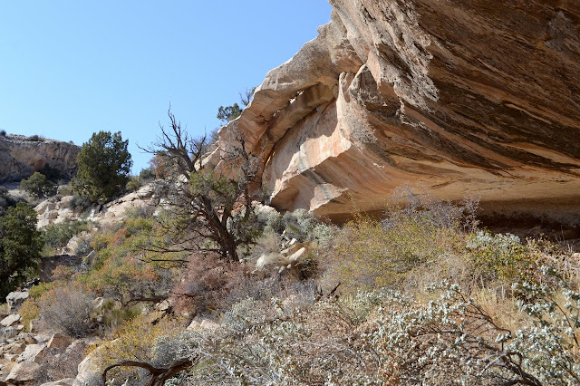 cave edge with a bridge in it