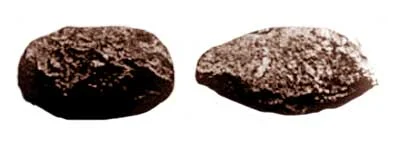 Heritage of Mesolithic Period