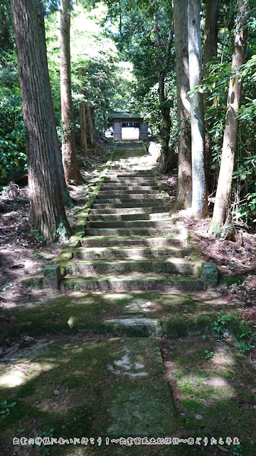 佐為神社　参道階段