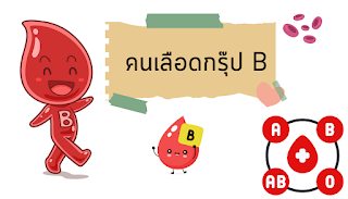 กรุ๊ป B OHO999.com