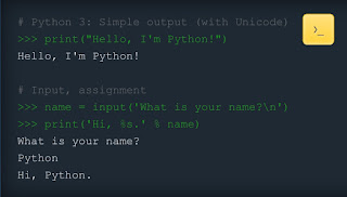 Python Programming Language Introduction 