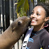 Dolphins, Seals, Waves, Kisses & Hugs!!!