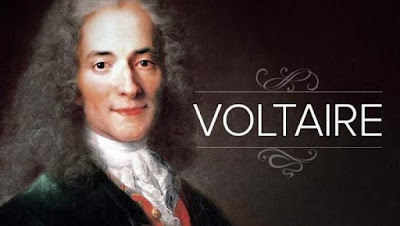 Top 20 Voltaire Status in English 2019