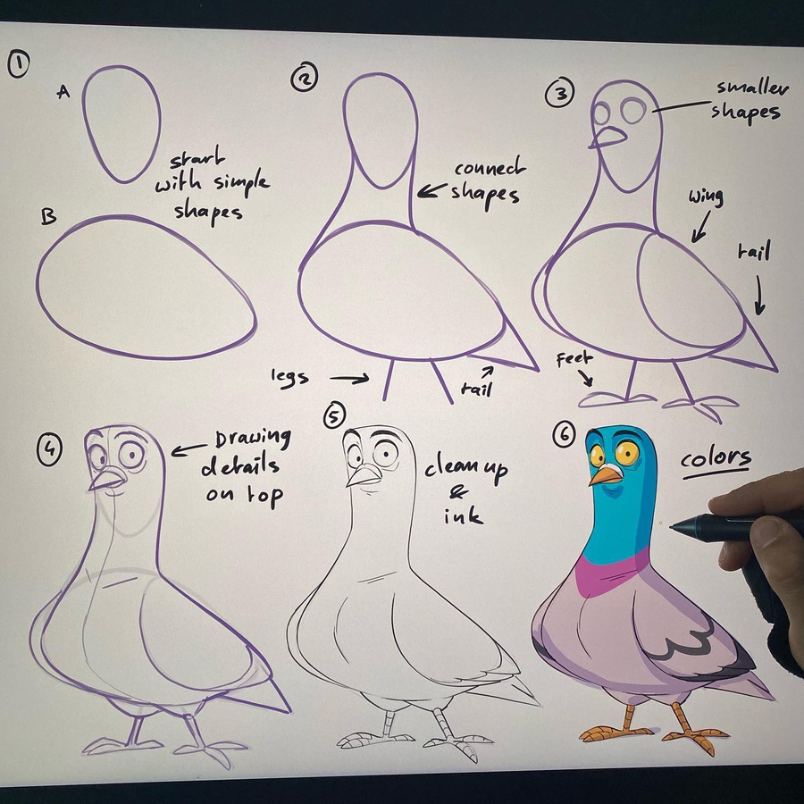 06-How-to-draw-a-pigeon-Mitch-Leeuwe-www-designstack-co