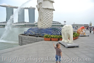DSC_0456_thumb