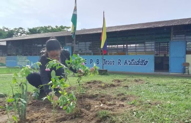 GESTIÓN-ELORZA: Dirección de Turismo de Alcaldía de Rómulo Gallegos llevó siembra de planta de jardín a escuela del municipio.