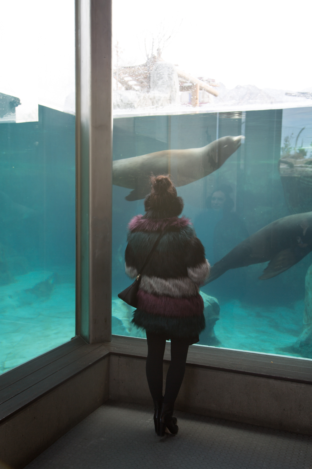 The Best Time to Visit Utah's Hogle Zoo