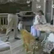 Funniest Moments With Animals And Persons.