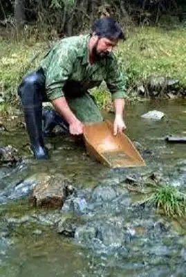 where was the first gold mine