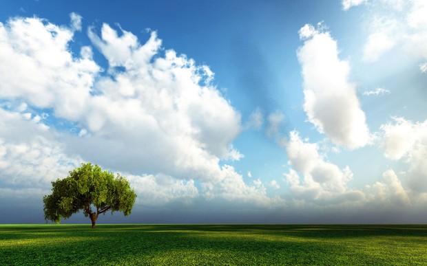 Beautiful green tree blue sky landscape Pc hd nature wallpapers