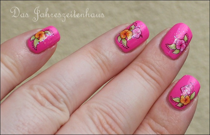 Pinker Hibiskus 6 Pinker Hibiskus 6