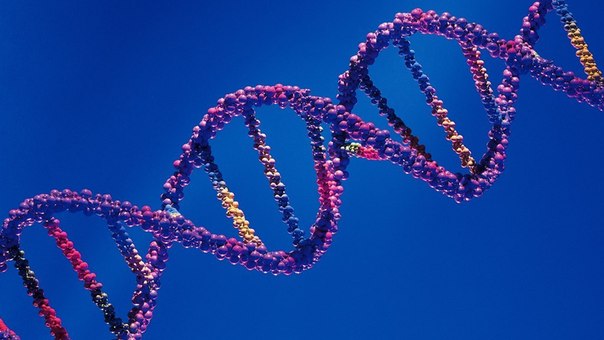 DNA Day in recognition of the importance of genetics and scientific achievements