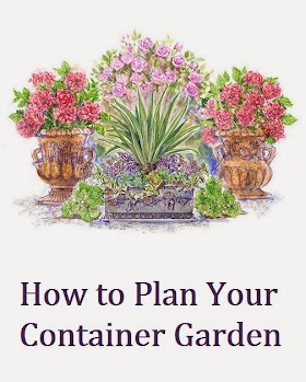 How to Plan Your Container Garden