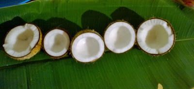 coconut halves after broken on the banana leaf
