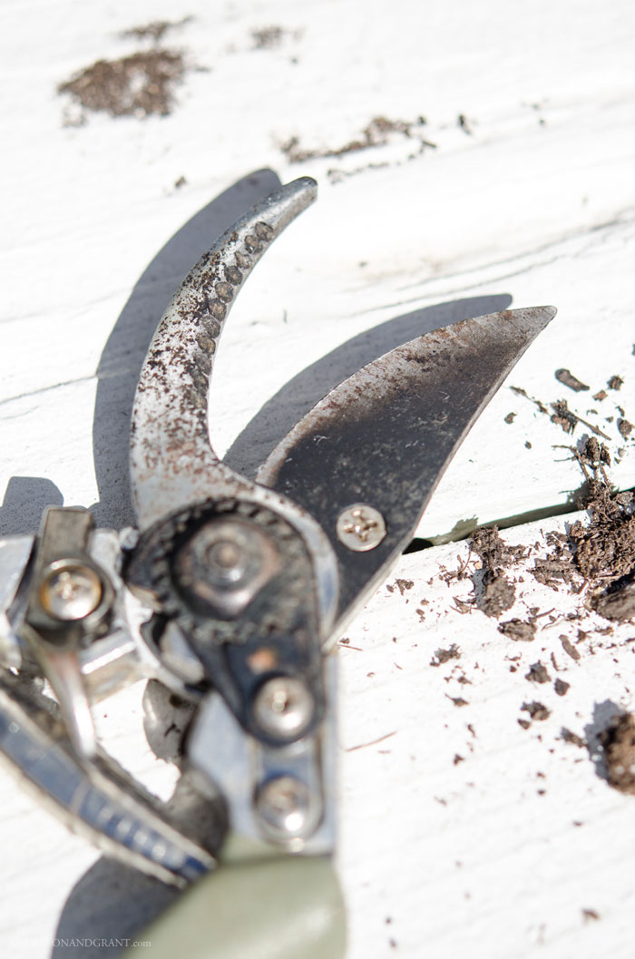 Keeping your garden tools sharp is important for the health of your garden and landscaping.   Find out about one simple gadget you can use to effortlessly maintain a sharp blade.  |  www.andersonandgrant.com