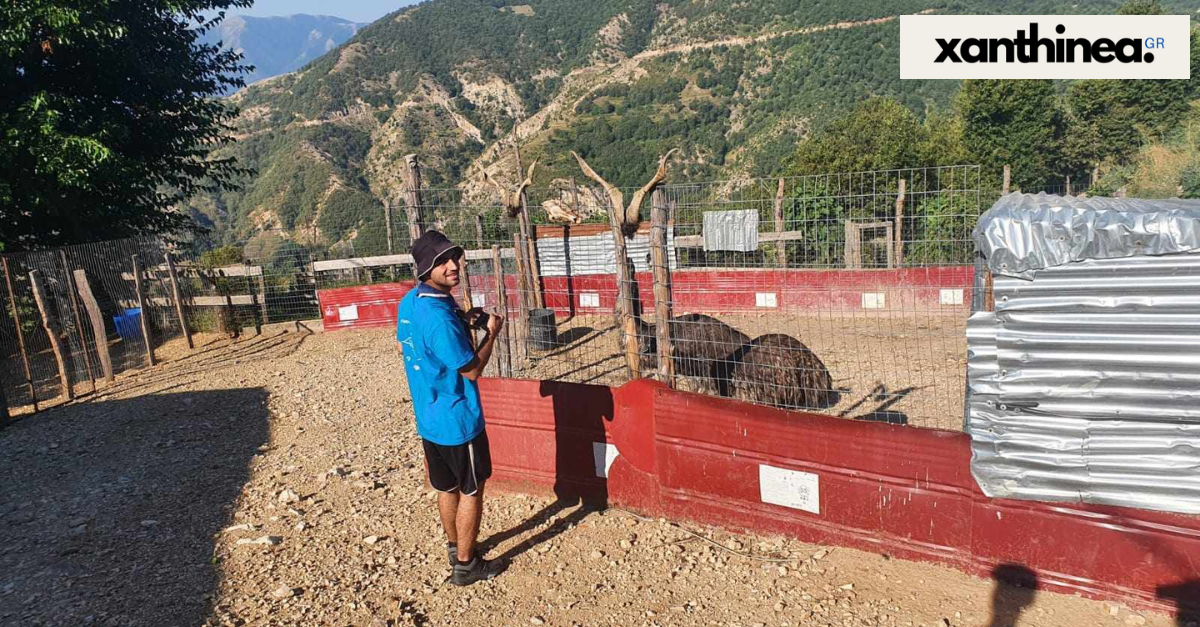 Ταξίδεψαν από την Αθήνα για να ξεναγηθούν σε φάρμα στη Γλαύκη