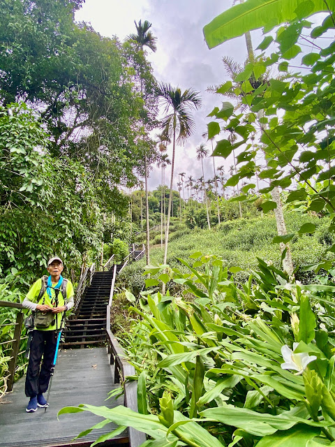 太興飛瀑步道