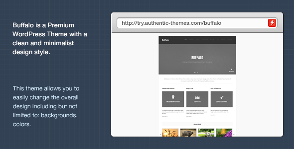 Buffalo Business & Portfolio WordPress Theme - Portfolio Creative