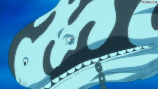 ワンピースアニメ 魚人島編 567話 海王類 ノア | ONE PIECE Episode 567