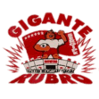 torcida gigante rubro
