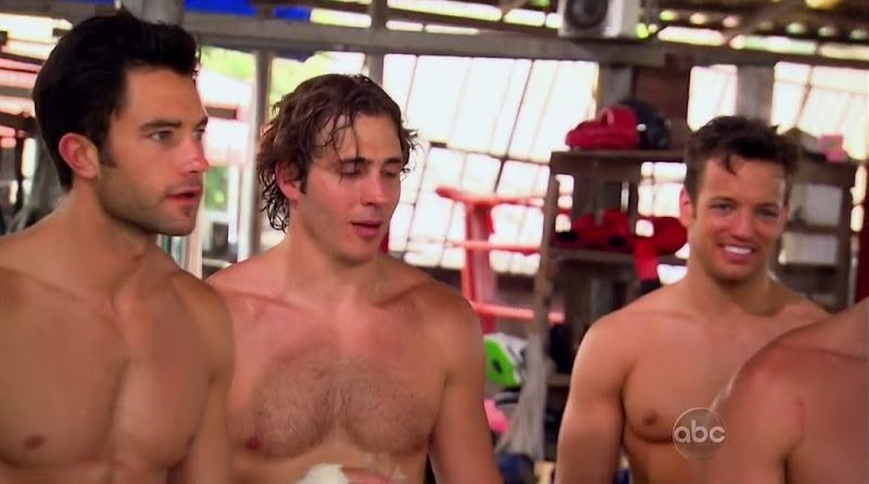 Constantine Tzortzis, Lucas Daniels, Ames Brown, Nick Peterson, Mickey McLean, J.P. Rosenbaum, Ryan Park, and Blake Julian Shirtless in the Bachelorette s7e05