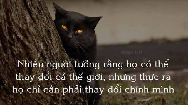 thay đổi chính mình