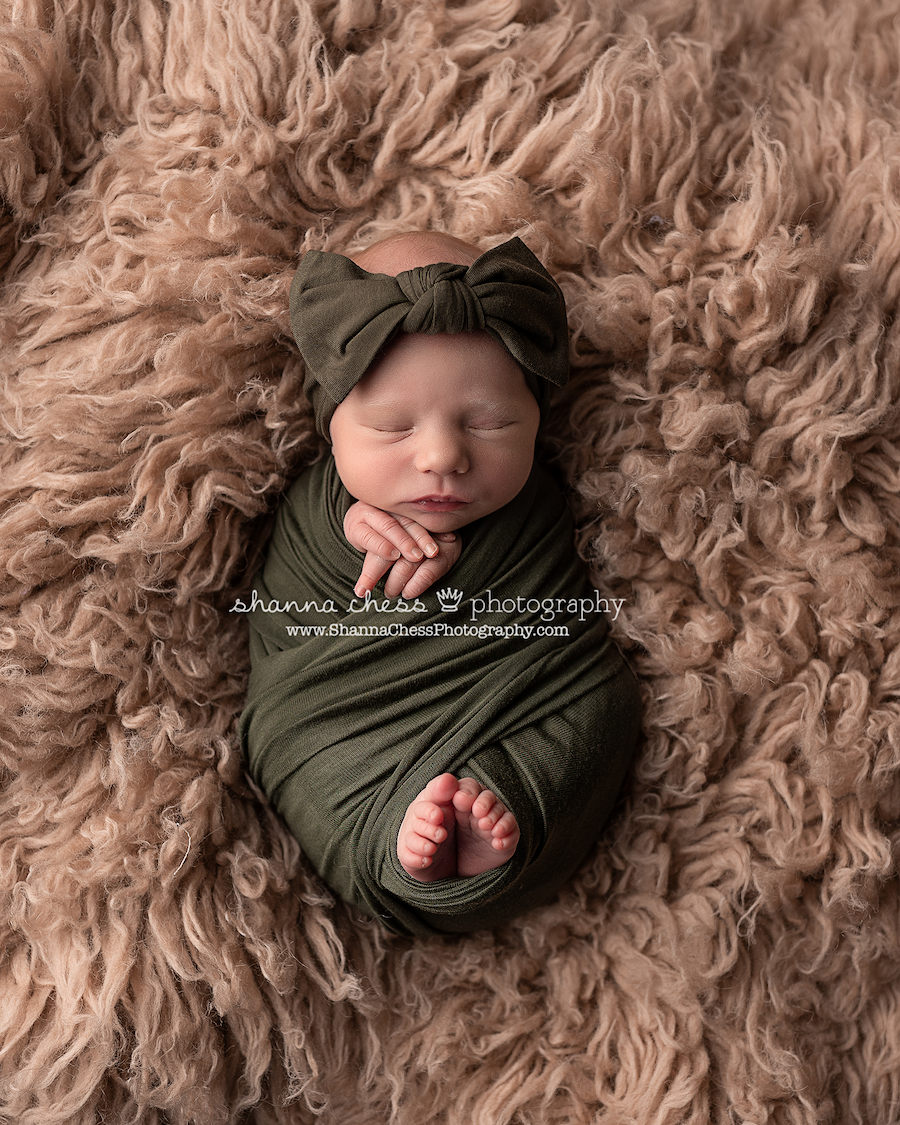 Newborn photography studio Eugene OR