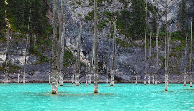Green Pear Diaries, viajes, turismo, destinos turísticos, naturaleza, Lago Kaindy, Kazajstán