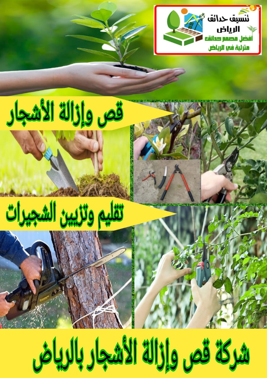 شركة قص وإزالة الأشجار