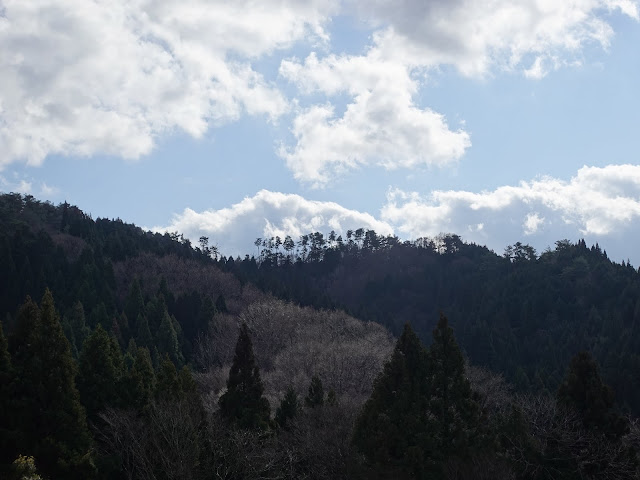 鳥取県日野郡江府町大河原集落からの眺望