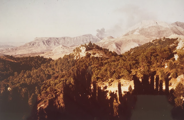 Dando vista a la Cueva del Agua, en primer plano el camino forestal a la Cueva del Agua entre tallos de pino pinaster, más adelante pinar del Llano de Las Palomas, más adelante Tajo del Arca con pinar alrededor de pinaster; en el fondo la Sierra de Alcaparaín, con una humareda procedente de incendio, a su derecha Sierra Blanquilla y terrenos de la finca de El Chorrito  (verano de 1983). Autor Rudolf Janda. Fuente: Archivo personal de José Pino Rivera.